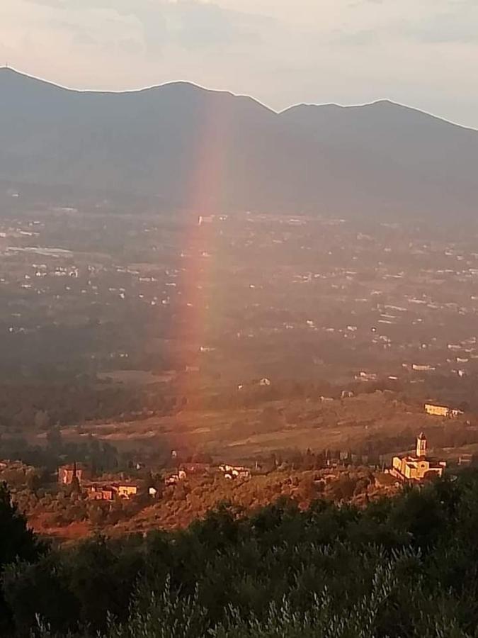 הוילה Petrognano  Casa Serena מראה חיצוני תמונה