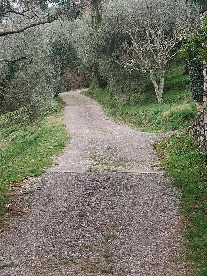 הוילה Petrognano  Casa Serena מראה חיצוני תמונה