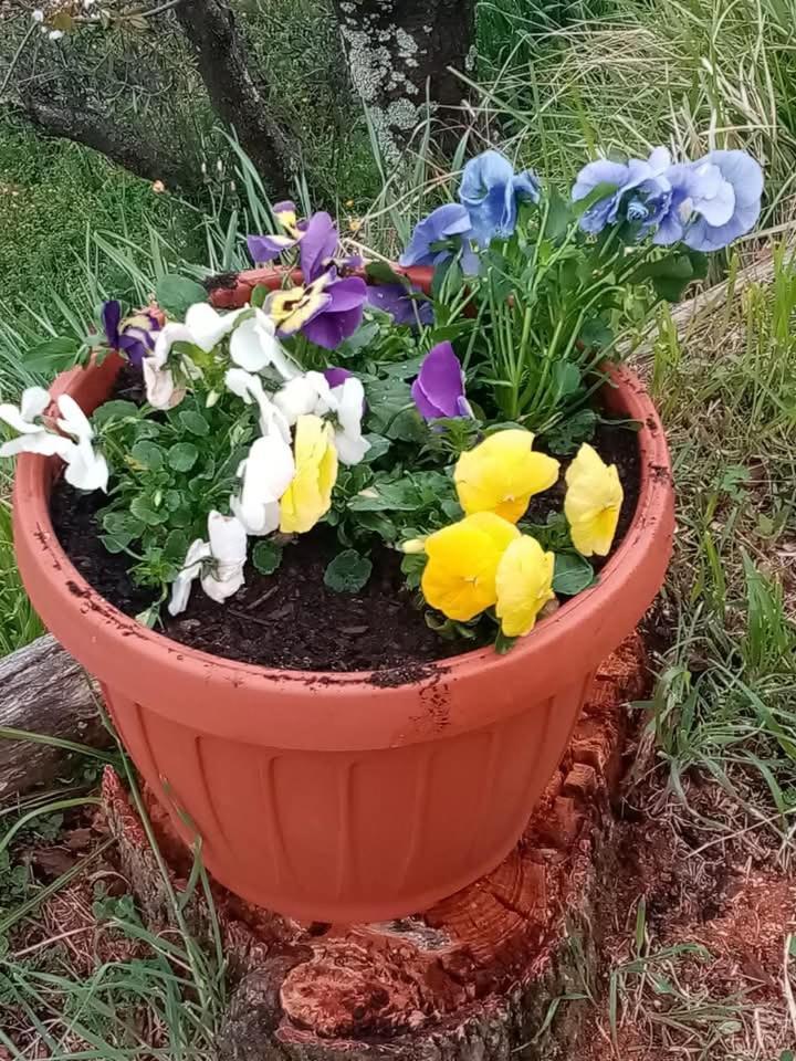 הוילה Petrognano  Casa Serena מראה חיצוני תמונה